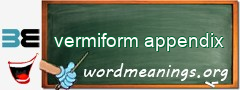 WordMeaning blackboard for vermiform appendix